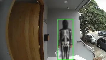 skeleton